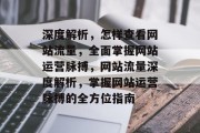 深度解析，怎样查看网站流量，全面掌握网站运营脉搏，网站流量深度解析，掌握网站运营脉搏的全方位指南