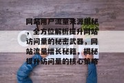 网站用户流量来源揭秘，全方位解析提升网站访问量的秘密武器，网站流量增长秘籍，揭秘提升访问量的核心策略