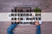 流量之困，我如何应对我没流量的挑战，应对流量之困，我如何克服无流量挑战的挑战