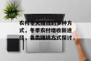 农村冬天赚钱的多种方式,冬季农村增收新途径,各类赚钱方式探讨