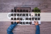 流量风暴网站，揭秘网络营销的新宠儿，流量风暴网站，网络营销新宠儿的崛起揭秘