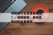 城镇里什么生意能赚钱?,城镇新宠,各种高利润的生意推荐