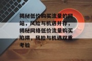 揭秘低价购买流量的网站，风险与机遇并存，揭秘网络低价流量购买陷阱，风险与机遇双重考验