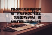 揭秘那些流量爆棚的网站，背后的秘密与启示，流量王者的奥秘，揭秘热门网站背后的秘密与启示