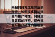 揭秘网站充流量背后的秘密，如何提高网站流量与用户粘性，网站流量背后的秘密，提升流量与用户粘性的策略解析