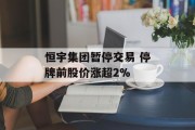 恒宇集团暂停交易 停牌前股价涨超2% 恒宇集团暂停交易 停牌前股价涨超2%