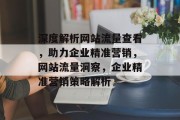 深度解析网站流量查看，助力企业精准营销，网站流量洞察，企业精准营销策略解析