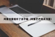 阿里流量提升了该干嘛（阿里巴巴提高流量）