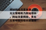 揭秘网站流量来源，多元化策略助力网站增长，网站流量揭秘，多元化策略驱动增长新篇章