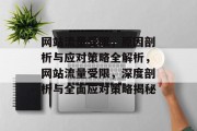 网站流量受限，原因剖析与应对策略全解析，网站流量受限，深度剖析与全面应对策略揭秘