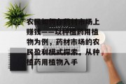 农民如何在药材市场上赚钱——以种植药用植物为例,药材市场的农民盈利模式探索,从种植药用植物入手