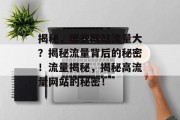 揭秘，哪些网站流量大？揭秘流量背后的秘密！流量揭秘，揭秘高流量网站的秘密！