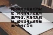 揭秘网站流量背后的秘密，如何提升浏览量与用户粘性，网站流量揭秘，解锁提升浏览量和用户粘性的关键