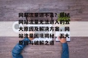 网站流量进不去？揭秘网站流量无法进入的五大原因及解决方案，网站流量困境揭秘，五大原因与破解之道
