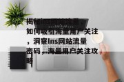 揭秘ins网站流量，如何吸引海量用户关注，洞察Ins网站流量密码，海量用户关注攻略