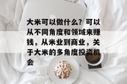 大米可以做什么?可以从不同角度和领域来赚钱,从米业到商业,关于大米的多角度投资机会 大米可以做什么?可以从不同角度和领域来赚钱,从米业到商业,关于大米的多角度投资机会
