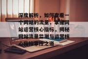 深度解析，如何查看一个网站的流量，掌握网站运营核心指标，揭秘网站流量监测与运营核心指标掌控之道