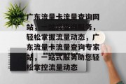 广东流量卡流量查询网站，一站式查询服务，轻松掌握流量动态，广东流量卡流量查询专家站，一站式服务助您轻松掌控流量动态