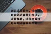 网站流量分析，揭秘提升网站访客量的秘诀，流量秘籍，揭秘高效提升网站访客量的策略