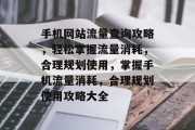 手机网站流量查询攻略，轻松掌握流量消耗，合理规划使用，掌握手机流量消耗，合理规划使用攻略大全