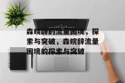 森皖辞的流量困境，探索与突破，森皖辞流量困境的探索与突破