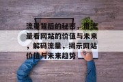 流量背后的秘密，用流量看网站的价值与未来，解码流量，揭示网站价值与未来趋势