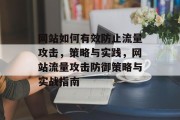 网站如何有效防止流量攻击，策略与实践，网站流量攻击防御策略与实战指南