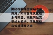 揭秘视频经营网站流量费用，如何合理优化成本与效益，视频网站流量成本解析，优化策略与效益提升之道