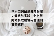 中小型网站建设与管理，策略与实践，中小型网站高效建设与管理的策略解析