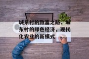 城东村的致富之路,城东村的绿色经济,现代化农业的新模式 城东村的致富之路,城东村的绿色经济,现代化农业的新模式
