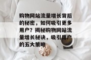 购物网站流量增长背后的秘密，如何吸引更多用户？揭秘购物网站流量增长秘诀，吸引用户的五大策略