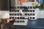 揭秘上外国网站流量背后的秘密，跨境网络营销的新趋势，跨境网络营销流量揭秘，上外国网站的新动向
