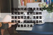 网站如何通过售卖流量实现盈利，全方位解析流量变现之道，流量变现攻略，揭秘网站盈利的流量售卖之道