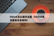 tiktok怎么提升流量（tiktok有流量就会变现吗）