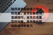 如何高效监控自己网站的流量，全方位解析与实战技巧，全方位流量监控攻略，高效提升网站数据分析能力