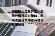 网站优化流量异常，原因分析及应对策略，网站流量异常排查与优化策略解析