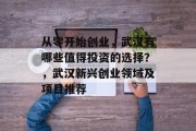 从零开始创业,武汉有哪些值得投资的选择?,武汉新兴创业领域及项目推荐 从零开始创业,武汉有哪些值得投资的选择?,武汉新兴创业领域及项目推荐