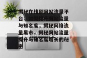 揭秘在线刷网站流量平台，如何提升网站流量与知名度，揭秘网络流量黑市，揭秘网站流量提升与知名度增长的秘密