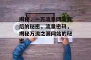 揭秘，一万流量网站背后的秘密，流量密码，揭秘万流之源网站的秘密