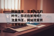 网站流量，流量为王的时代，你还在犹豫吗？流量为王，网站流量转化策略解析