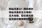 网站流量小？揭秘提升网站流量的五大策略！五大秘籍，轻松提升网站流量的策略解析