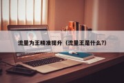 流量为王精准提升（流量王是什么?）