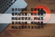全方位解析，在哪里查看网站流量，助你洞察网站运营状况，网站流量洞察攻略，揭秘查看网站流量的方法与技巧