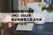 新明中国(02699.HK):2022年母公司拥有人应占亏损达22.5亿元 新明中国(02699.HK):2022年母公司拥有人应占亏损达22.5亿元