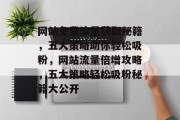 网站免费流量获取秘籍，五大策略助你轻松吸粉，网站流量倍增攻略，五大策略轻松吸粉秘籍大公开
