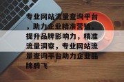 专业网站流量查询平台，助力企业精准营销，提升品牌影响力，精准流量洞察，专业网站流量查询平台助力企业品牌腾飞
