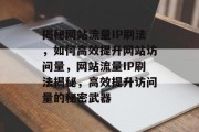 揭秘网站流量IP刷法，如何高效提升网站访问量，网站流量IP刷法揭秘，高效提升访问量的秘密武器