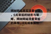 揭秘网站真实流量价格，6元背后的秘密与策略，揭秘网站流量背后的真相，6元成本解析