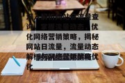 深入解析网站日流量查询，掌握流量动态，优化网络营销策略，揭秘网站日流量，流量动态解析与网络营销策略优化