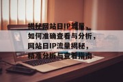 揭秘网站日IP流量，如何准确查看与分析，网站日IP流量揭秘，精准分析与查看指南